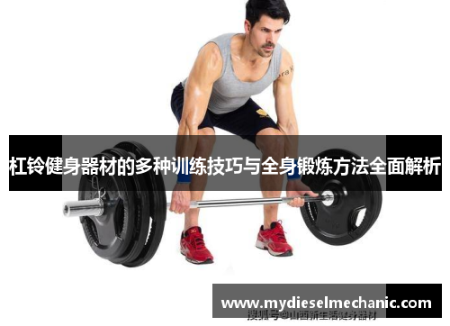 杠铃健身器材的多种训练技巧与全身锻炼方法全面解析