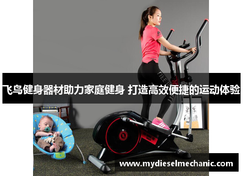 飞鸟健身器材助力家庭健身 打造高效便捷的运动体验