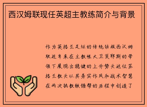 西汉姆联现任英超主教练简介与背景