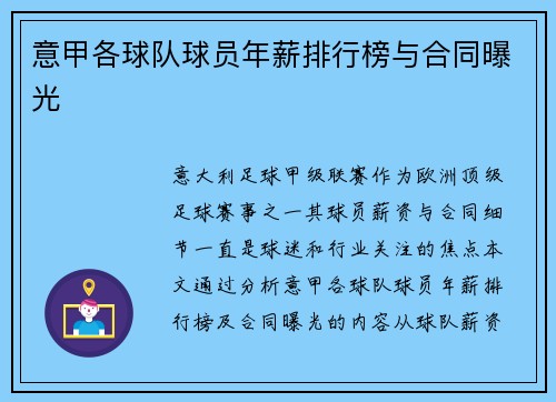 意甲各球队球员年薪排行榜与合同曝光